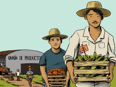 Ejecución del Plan de Transición Agroecológico