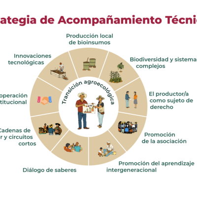 Timeline: Caracterización y Plan de Transición Agroecológico