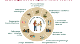 Timeline: Caracterización y Plan de Transición Agroecológico