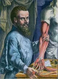 ANDRES VESALIO (monismo)