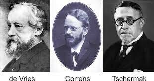 Correns, Tschermak y de Vries