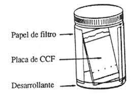 Izmailov y Schraiber