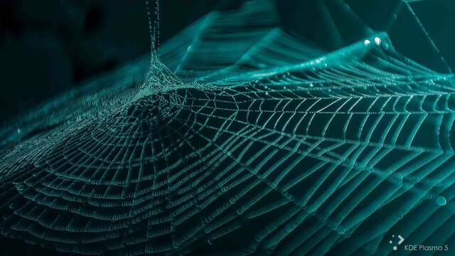 Redes de trata de personas en España desmanteladas