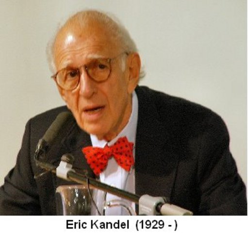Eric R. Kandel was Born