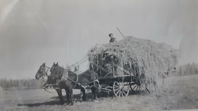 Farm Life - Haying summer of 1939