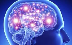 GESCHWIND Y EL GRUPO DE BOSTON 1965