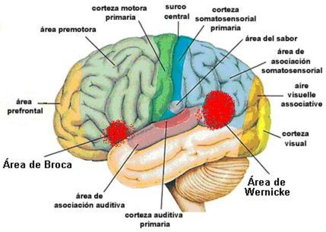 PERIODO CONTEMPORANEO DESDE 1975