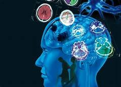 Enfermedades Degenerativas