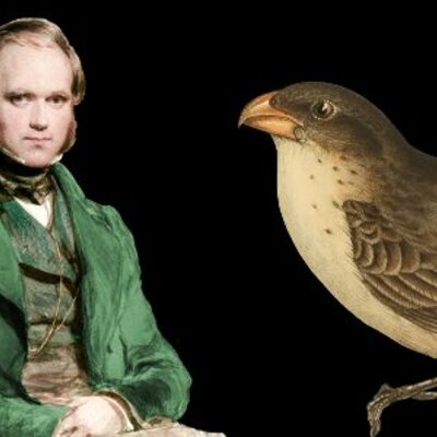 Timeline: Charles Robert Darwin