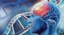 Timeline: LA NEUROPSICOLOGÍA EN EL TIEMPO - MERLI CATHERINE BEDOYA ESCOBAR