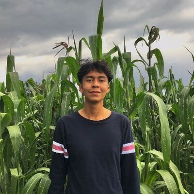 Timeline: Linea del Tiempo