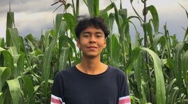 Timeline: Linea del Tiempo