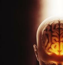 NEUROPSICOLOGÍA COGNITIVA