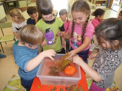 ENFOQUE CIENTÍFICO EN LA EDUCACIÓN INFANTIL: