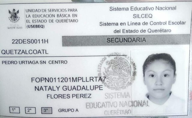 Formación académica