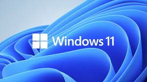 Windows 11
