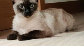 Timeline: La meva vida