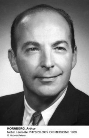Roger D. Kornberg was Born