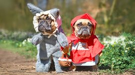 Timeline: La meva vida