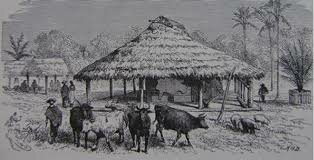 Inicio de la colonización