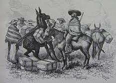 Suiguientes poblaciones