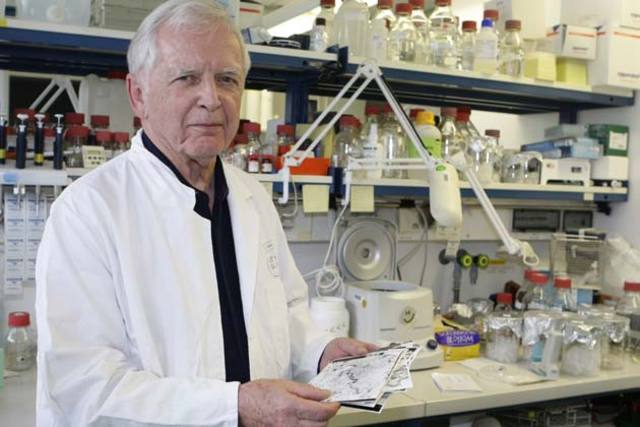 Harald Zur Hausen was Born