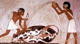 Timeline: HISTORIA DE LA MEDICINA, PCF 21/O BB11B. UNIVERSIDAD AUTÓNOMA METROPOLITANA, UNIDAD XOCHIMILCO