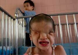 GUERRA QUIMICA Y ARMAMENTISTA