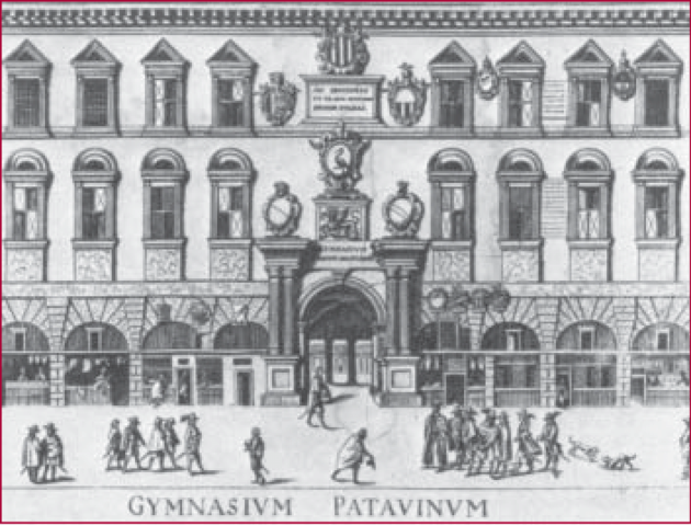 Universidad de Padua