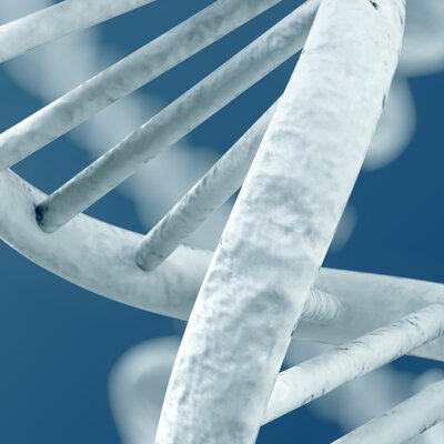 Timeline: Historia de la Genética