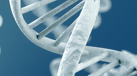 Timeline: Historia de la Genética