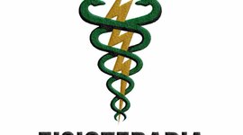 Timeline: A fisioterapia no Brasil