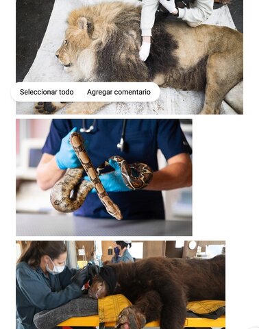 VIAJAR A CUMPLIR CON MI DEBER