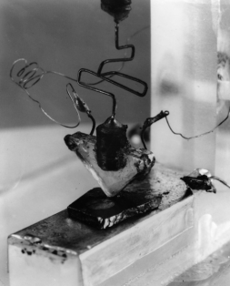 Invention of the Transistor