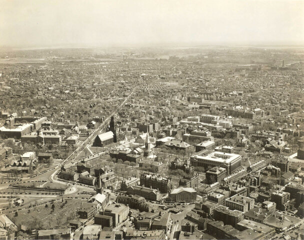 Junior Fellow at Harvard University