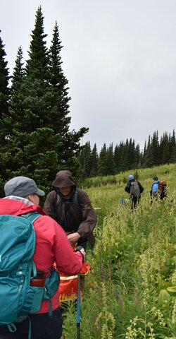 Family Camping is back