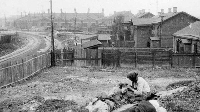 Conseqüències de la col·lectivització de l'agricultura