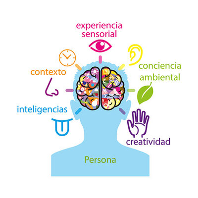 Timeline: Historia de la Neuropsicología