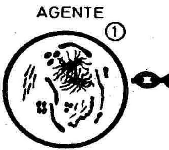 Agente causal específico