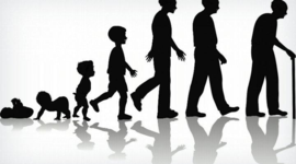 Timeline: Mi linea de vida