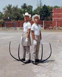 Entre a la secundaria