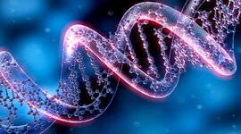 Timeline: Pablo Gil y Alejandro Fernández