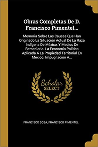 memoria sobre las causas que han originado la situación actual de la raza indígena de México y medios para remediarla (Francisco Pimentel)