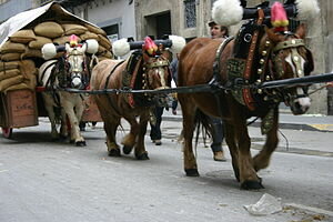 Tres Voltes de sant Antoni Abat de Valls