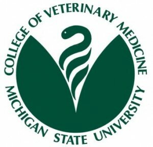 Brucelosis en Veterinarios