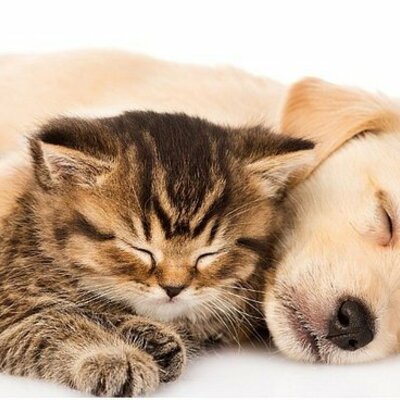 Timeline: La meva preciosa vida