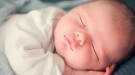 Timeline: LA MEVA VIDA