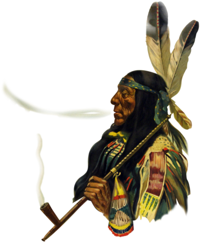 Corte Constitucional. Sentencia C-139 de 1996. M.P: Carlos Gaviria Díaz.