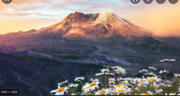 Mt.St Helens