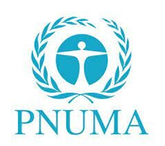 PNUMA (1973)